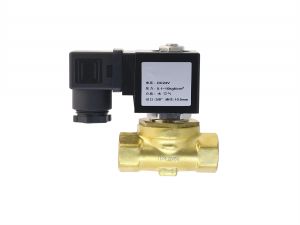 FSV-1C24-PE2C-FFG3/8